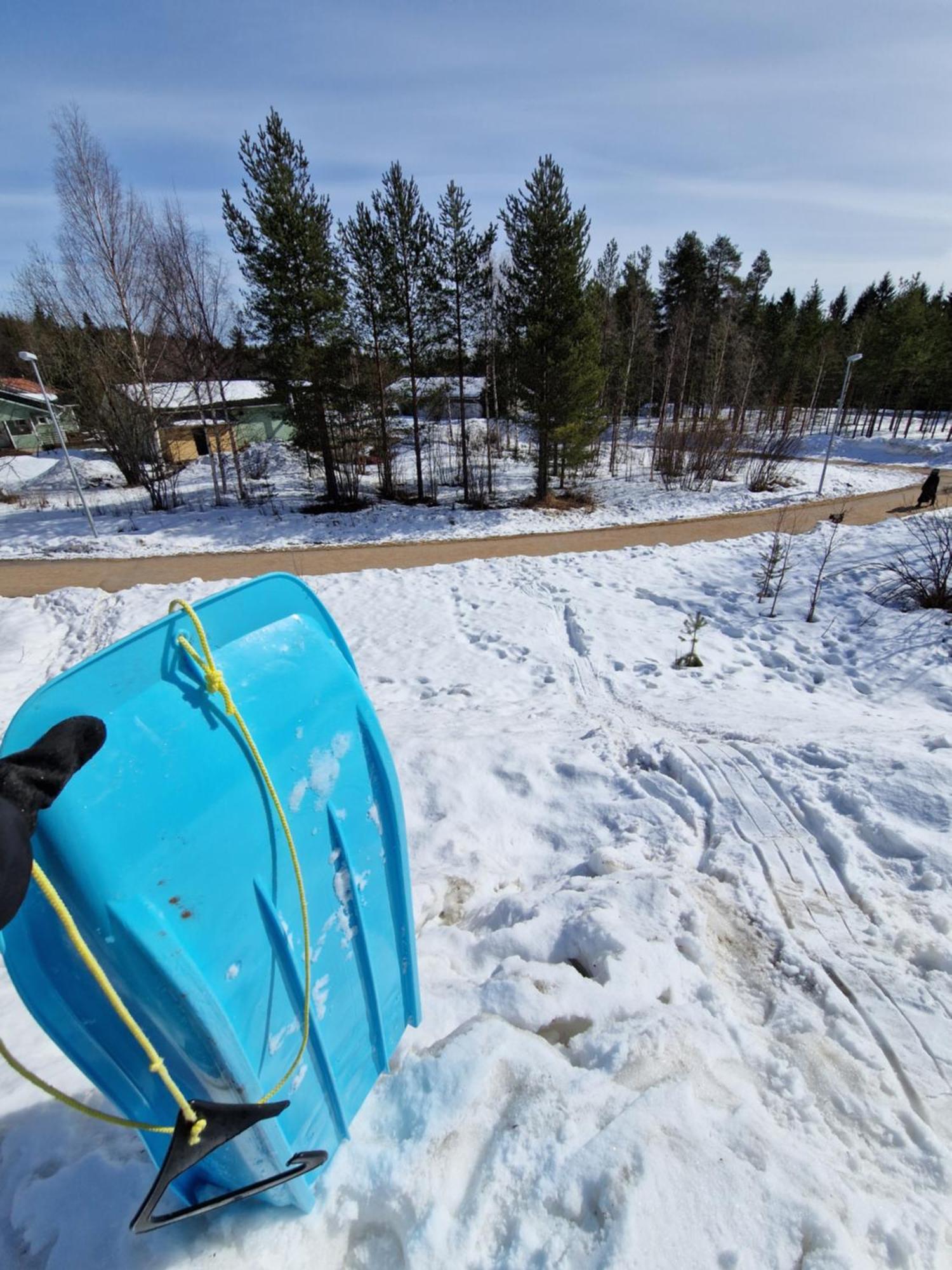 Blueberry House With Private Sauna&free Parking Huoneisto Rovaniemi
